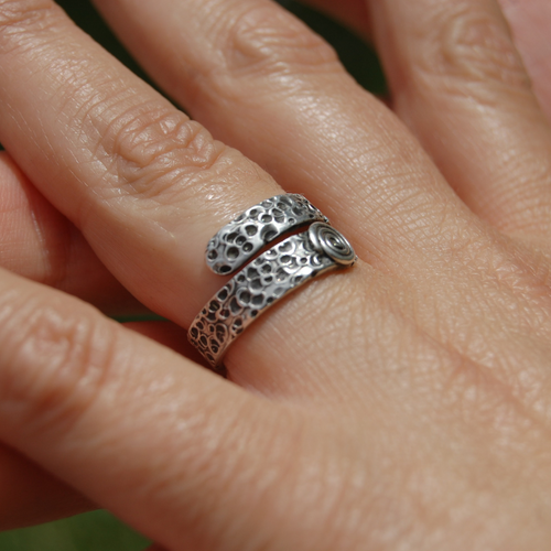 Anillo COMPLETA Y LIBRE